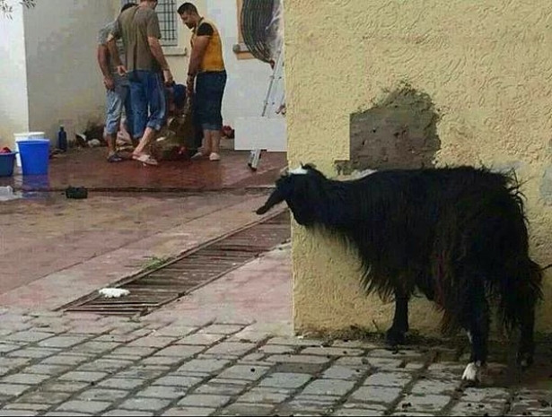 Üstüne yorum bile yapılmaması gereken dünyanın en hüzünlü 21 fotoğrafı - Page 2