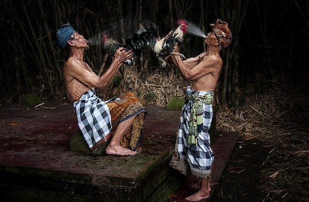 World Photography Awards'un kazananları belli oldu - Page 4