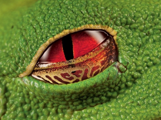 Zamanlamasıyla şaşırtan Photoshop değmemiş kareler - Page 4