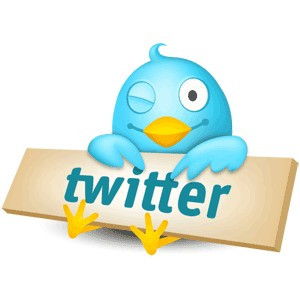 1332037151_twitter.jpg