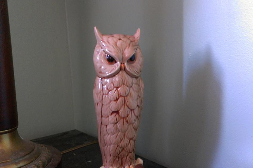 1340180783_htc-evo-4g-lte-review-camera-inside-owl.jpg 1340180783_htc-evo-4g-lte-review-camera-inside-owl.jpg