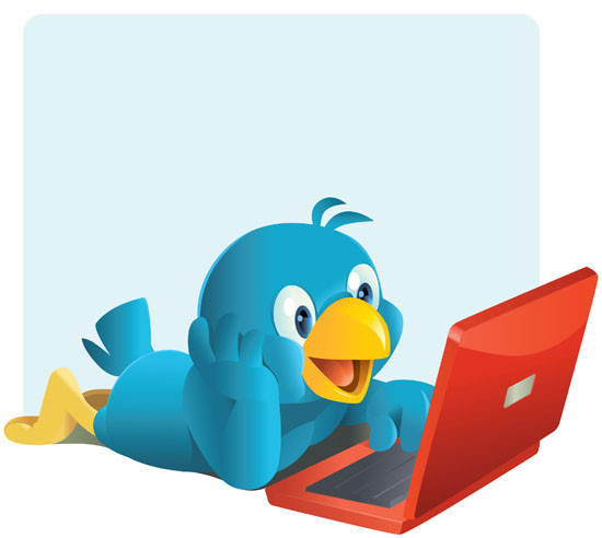 1343369751_twitter.jpg
