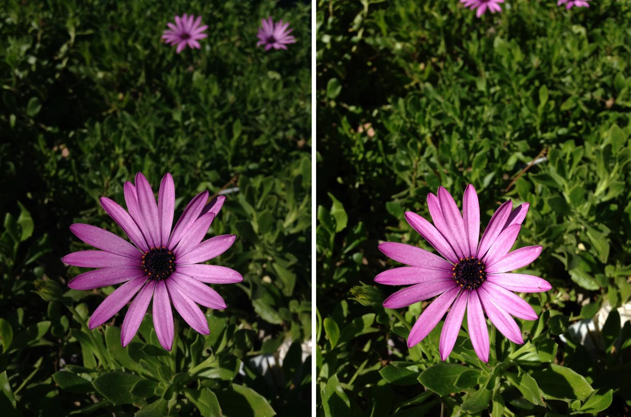 1352286524_ipodtouchvsiphone5flower.jpg 1352286524_ipodtouchvsiphone5flower.jpg