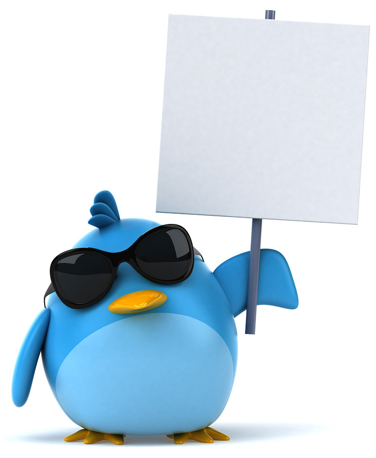 1377945445_2-key-ways-to-advertise-on-twitter.jpg