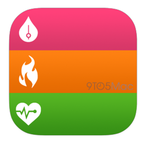 1398171852_healthbook-icon-300x297.png