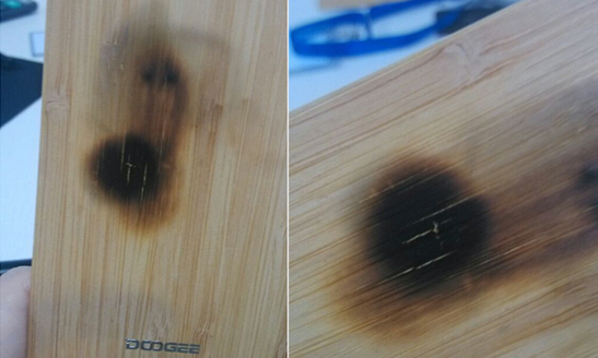 1439364919_bamboo-back-survives-the-fire....jpg