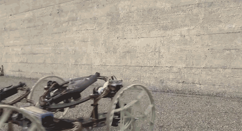 1451477043_vupulbimnfzhk5kciur4.gif