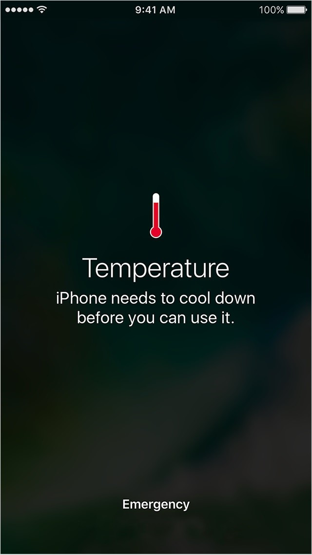 1498050361_iphone-melts-completely-after-owner-leaves-it-in-direct-sunlight-516577-4.jpg